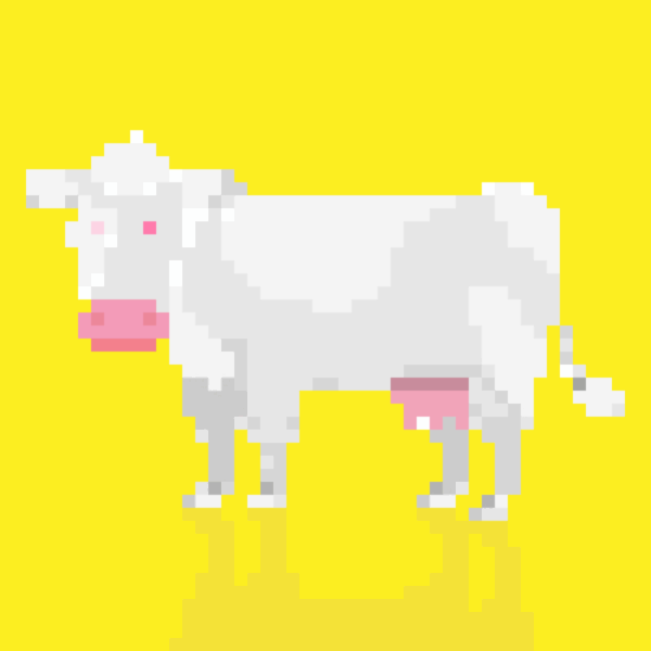 Albino Ivory NFT Pixel Art